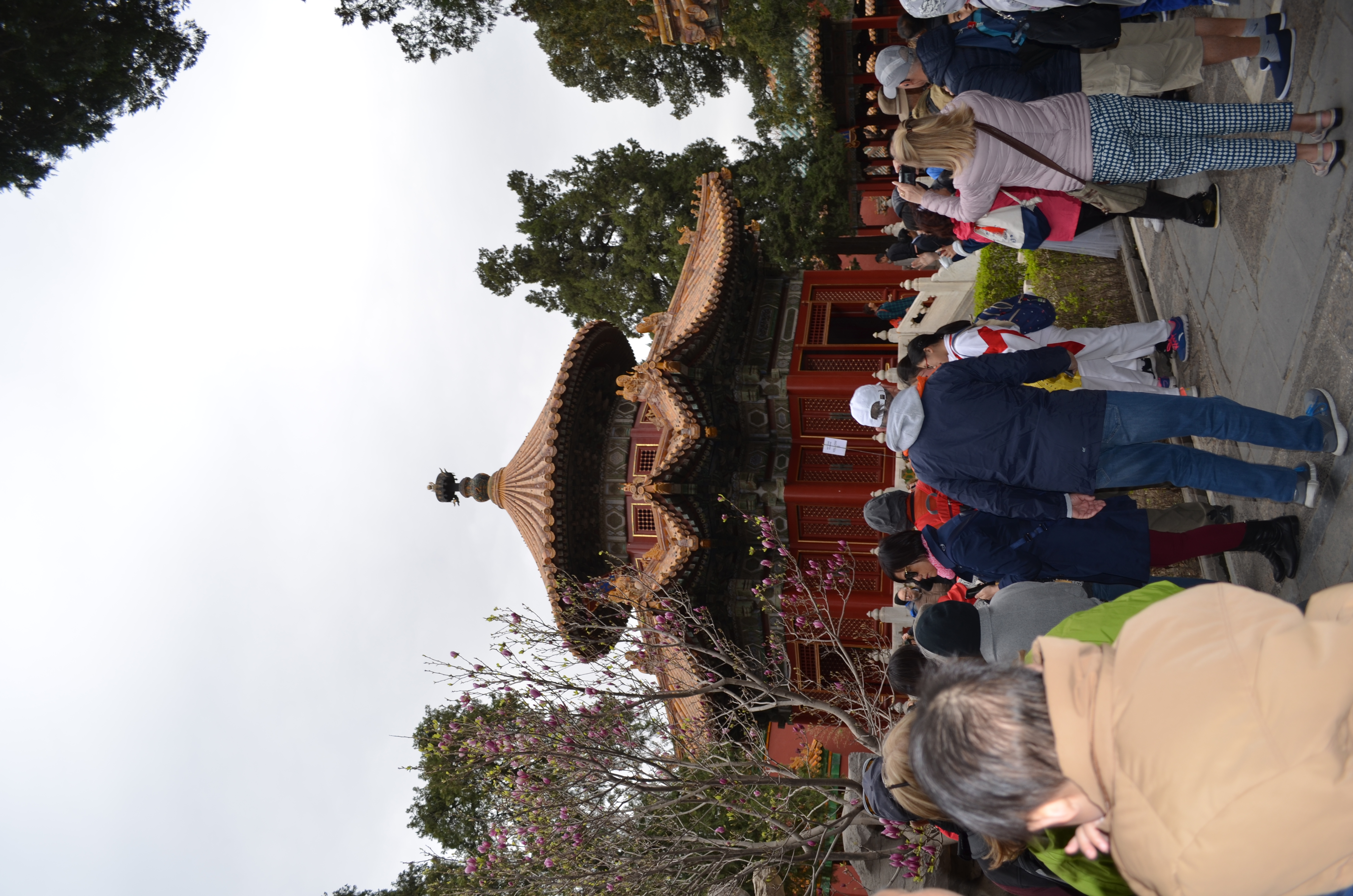 ./2018/03 - Viking China/06 - Forbidden City/DSC_10085.JPG